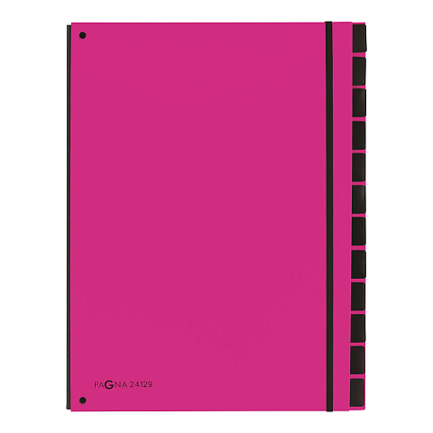 Pagna 24129-34 Schnellhefter Pink Karton, Polypropylen (PP) A4