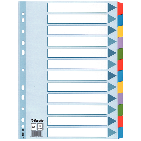Esselte Register Blanko, Karton