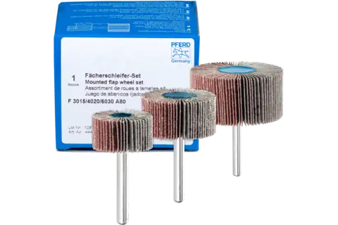 PFERD Mounted flap wheel set