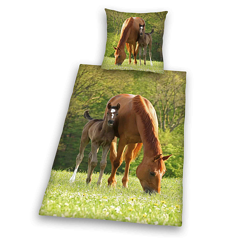 HERDING Young Collection Bettwäsche-Set ‘Pferd mit Fohlen’ – 135×200 cm, Renforcé