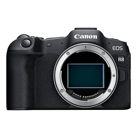 Canon EOS R8 MILC 24,2 MP CMOS 6000 x 4000 Pixel Schwarz