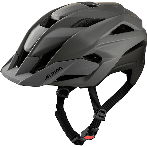 Alpina Sports STAN MIPS Grau