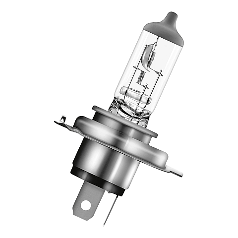 Bailey Electric & Electronics 146688 Auto-Glühbirne Halogen