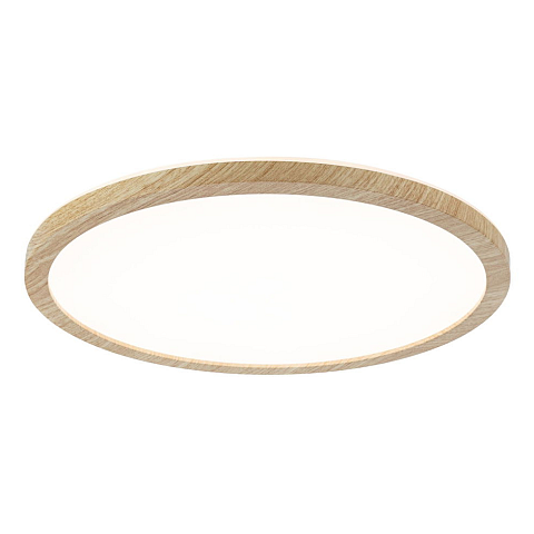 Paulmann 71028 Deckenbeleuchtung LED 19 W E