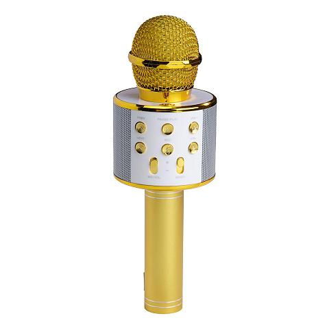 Denver KMS-20GOMK2 Mikrofon Gold Karaoke-Mikrofon