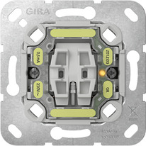 GIRA 311600 Elektroschalter Wippschalter Chrom, Grau