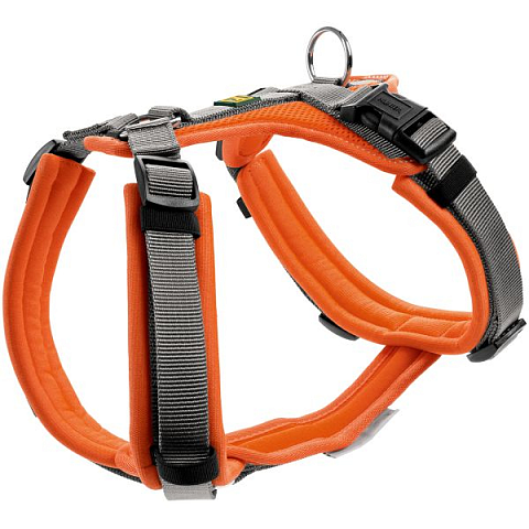 Hunter Maldon XS Grau, Orange Nylon Hund Halftergeschirr