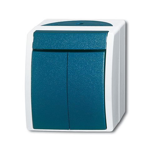 Busch-Jaeger 2601/5 W-53 2P Grün, Grau