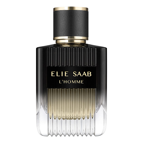 Elie Saab L'Homme 100 ml Männer
