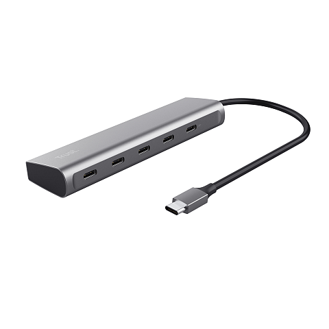 Trust Halyx USB 3.2 Gen 1 (3.1 Gen 1) Type-C Silber