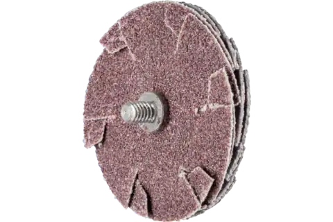 PFERD Overlap slotted disc 20 Stück(e)