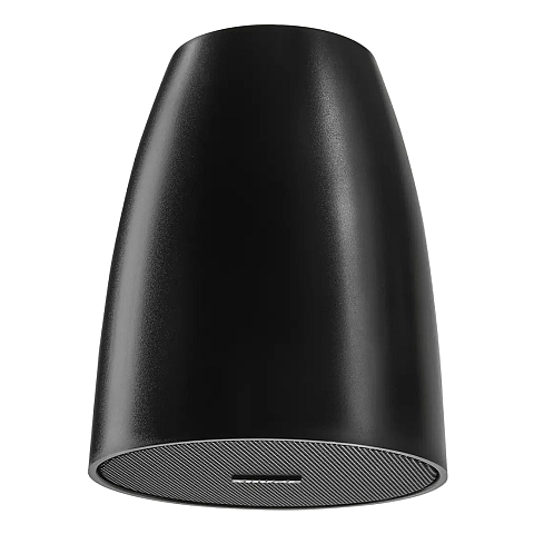 Shure MXP-1B Lautsprecher Schwarz Kabelgebunden