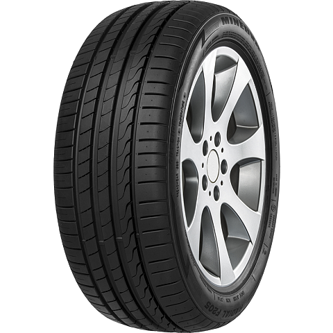 Minerva F205 XL 195/45 R17 XL Sommer 43,2 cm (17") 19,5 cm