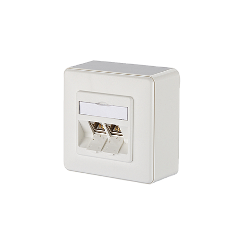 BTR NETCOM 1309120002-E Steckdose RJ-45 Weiß