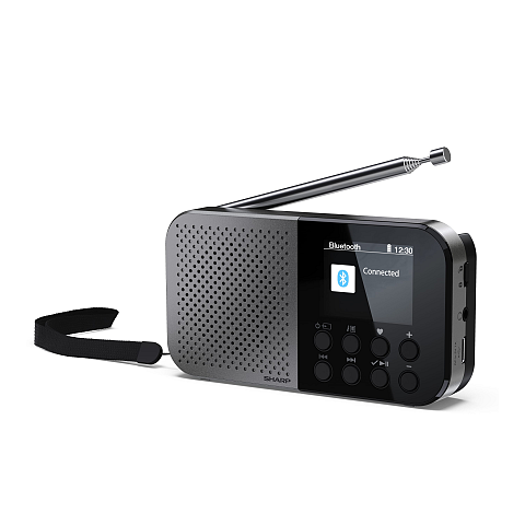 Sharp DR-P520 Persönlich Digital Grau