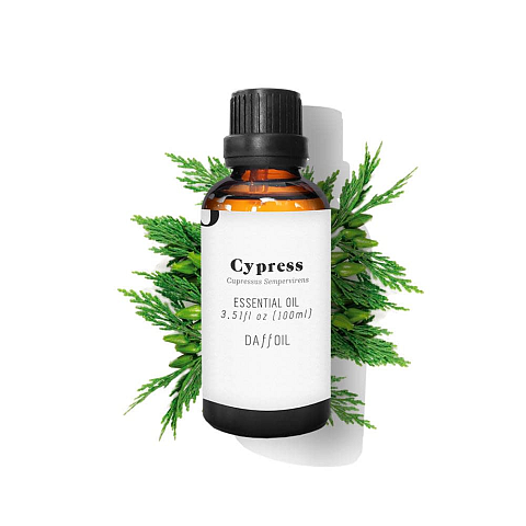 Daffoil Cypress Aromaessenz 100 ml