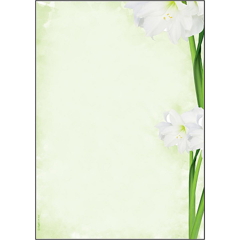 Sigel DP463 Druckerpapier A4 (210x297 mm) 25 Blätter Grün, Weiß