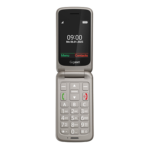Gigaset GL595 7,11 cm (2.8") 114 g Grau Seniorentelefon