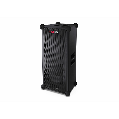Sharp CP-LS100 Tragbarer-/Partylautsprecher Tragbarer Stereo-Lautsprecher Schwarz 120 W