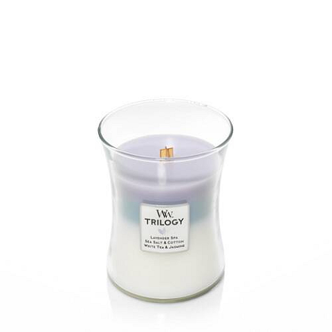 WoodWick 92965 Wachskerze andere Eukalyptus, Lavendel Blau, Violett, Weiß 1 Stück(e)