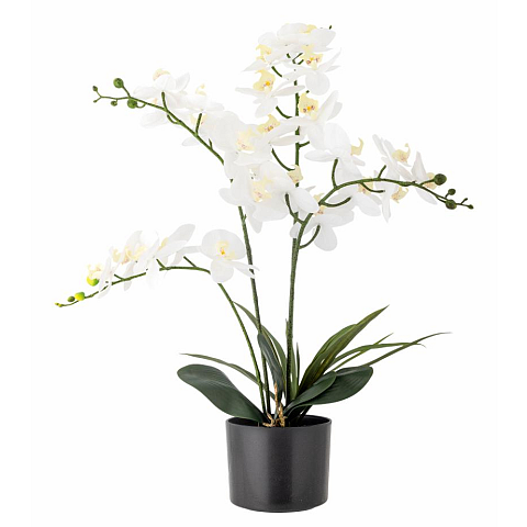 Bloomingville Orchid Drinnen Künstliche Blütenpflanze