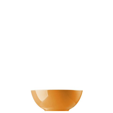 Thomas 10850-408505-15455 Speiseschüssel 0,58 l Orange