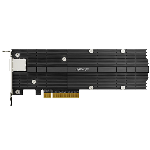 Synology E10M20-T1 Schnittstellenkarte/Adapter Eingebaut PCIe