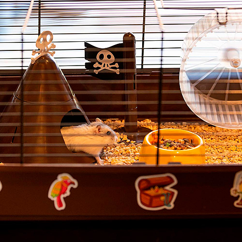 Ferplast Criceti 9 Pirates Hamster Braun, Grau