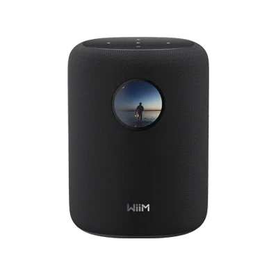 WiiM Sound 2-Wege Schwarz Verkabelt & Kabellos 100 W