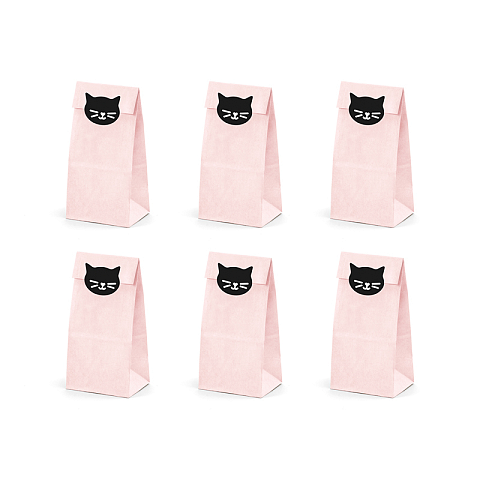 PartyDeco TNS11 Brotdose Lunchpaket Papier Pink 6 Stück(e)