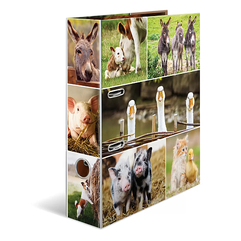 HERMA 19253 Ringmappe A4 Mehrfarbig