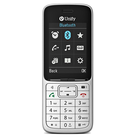 Unify OpenScape DECT Phone SL6 6,1 cm (2.4") 90 g Grau