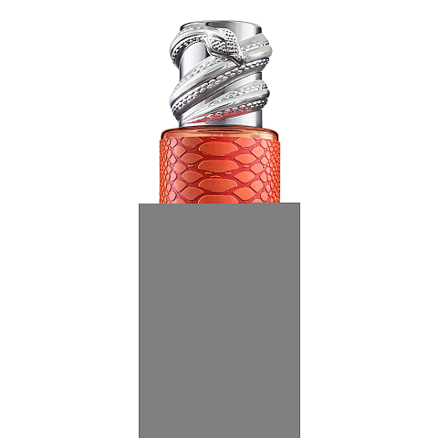 Roberto Cavalli JRC20008 Haar-/Körperspray 250 ml