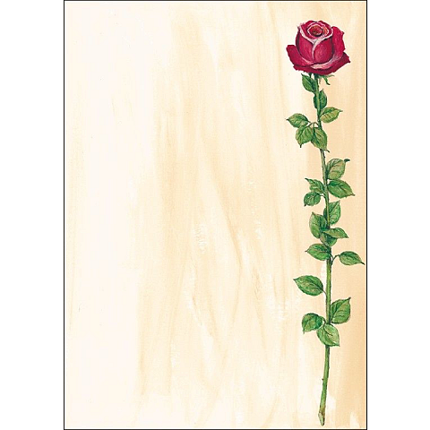 Sigel DP695 Kunstdruckpapier 25 Blätter