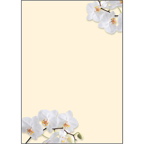 Sigel DP904 Kunstdruckpapier 50 Blätter