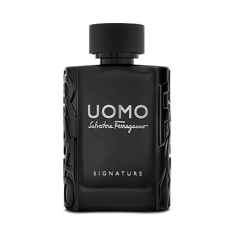 Salvatore Ferragamo Uomo Signature 100 ml Männer