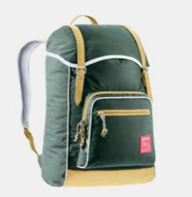 Deuter Innsbruck 22 l Kamelfarben, Grün
