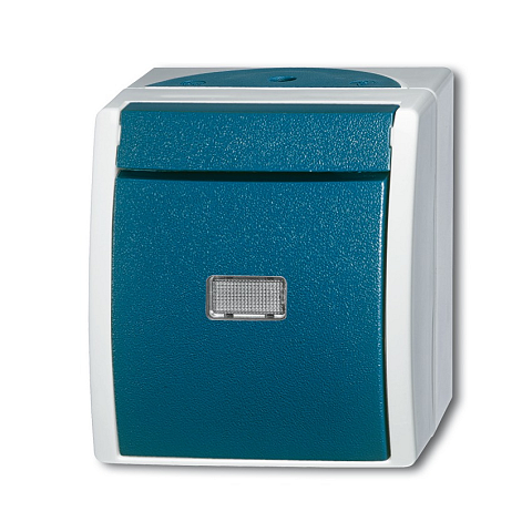 Busch-Jaeger 2601/6 WGL-53 1P Grün, Grau