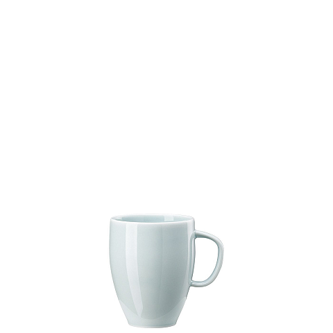 Rosenthal 10540-405204-15505 Tasse