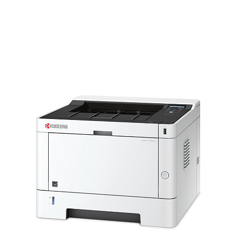 KYOCERA ECOSYS P2040dw 1200 x 1200 DPI A4 WLAN