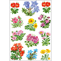 HERMA Decorative labels DECOR mountain flowers 3 sheets selbstklebendes Etikett