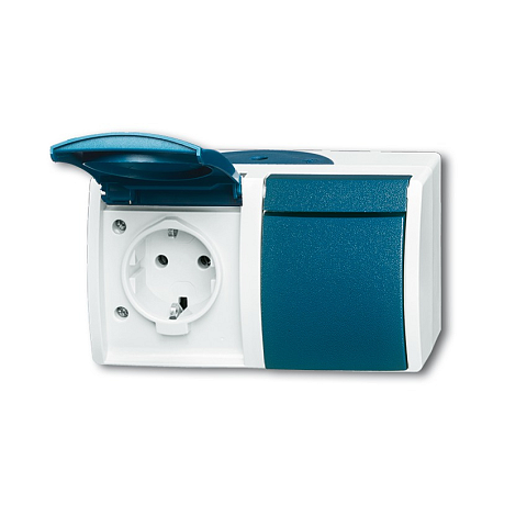 Busch-Jaeger 4011395993316 Steckdose 2 x Type F Blau, Weiß