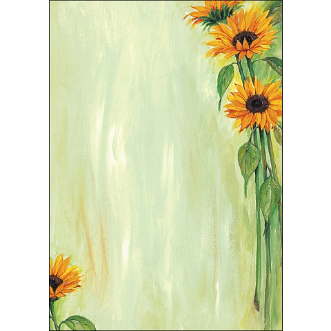 Sigel DP694 Kunstdruckpapier 25 Blätter