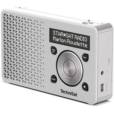 TechniSat DigitRadio 1 Tragbar Digital Silber, Weiß