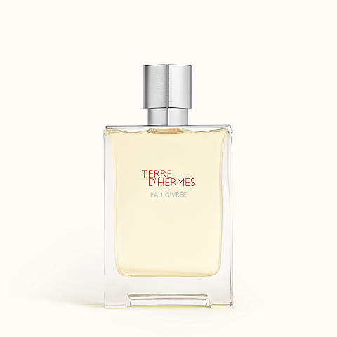 Hermes Terre d' Eau Givree 100 ml Männer