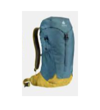 Deuter AC Lite 16 16 l Grün