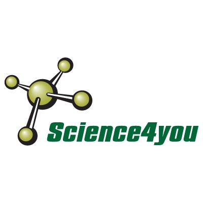 Science4You 80004328 Kunst-/Bastelspielzeug