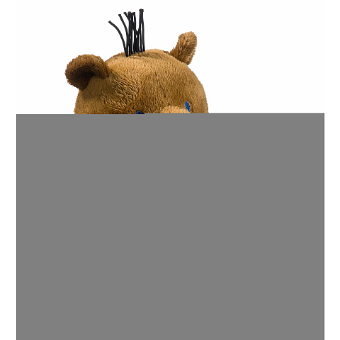 Heunec Janosch Bär
