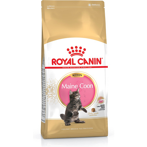 Royal Canin Maine Coon Kitten Katzen-Trockenfutter 4 kg Geflügel, Reis