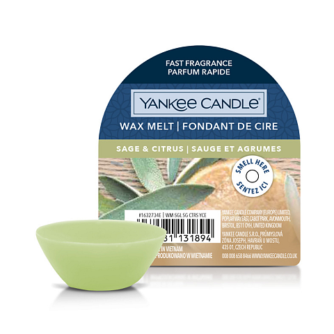 Yankee Candle 10.00664.0037 Schmelzendes Aromawachs